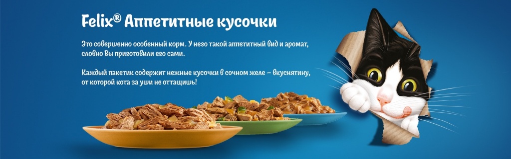 1920╤Е600_01_2.jpg